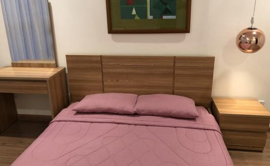 apartment for rent in binh thanh district hcmc BT105L468 (1)